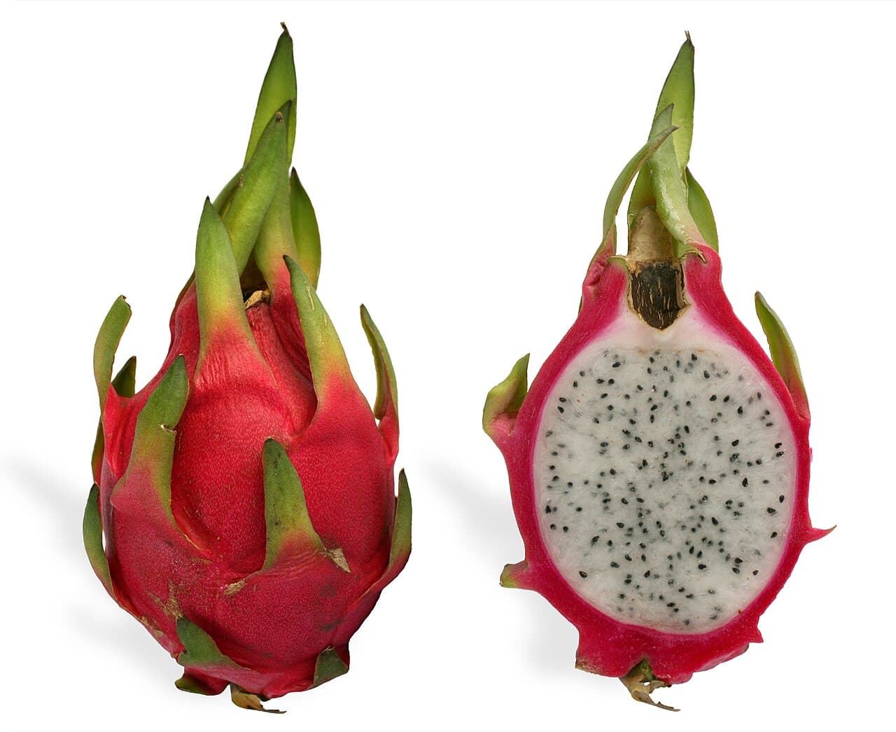 Red Dragon Fruit (2 pcs) - ภาพที่ 1
